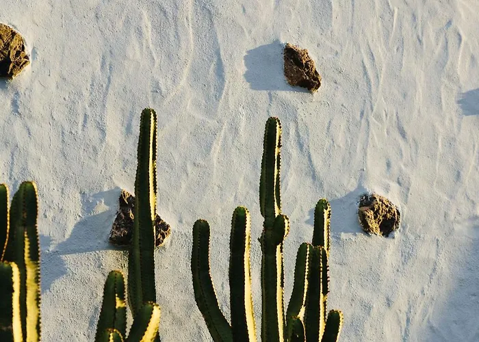 Casa Jable Nueva Villa *