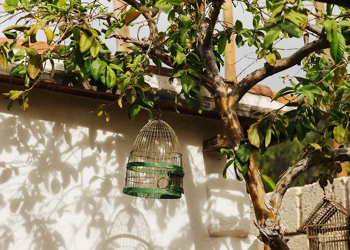 Casa Jable Nueva Villa Costa Adeje (Tenerife)