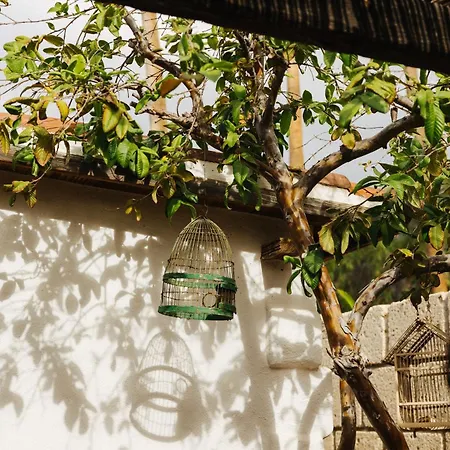 Casa Jable Nueva וילה אדחה